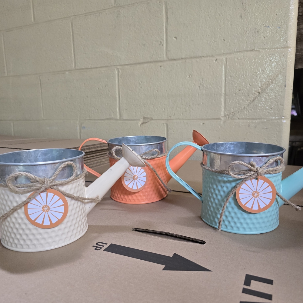 Decorative Watering Can Set - Cream, Orange, and Blue